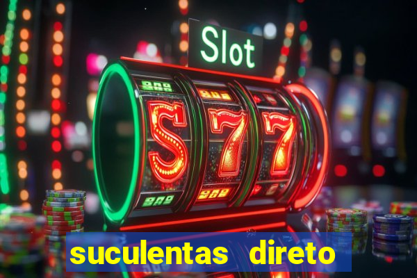 suculentas direto do produtor rs