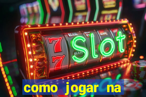 como jogar na lotinha do jogo do bicho