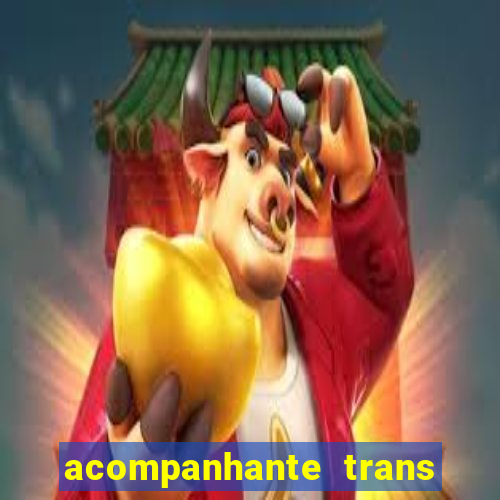 acompanhante trans em santos
