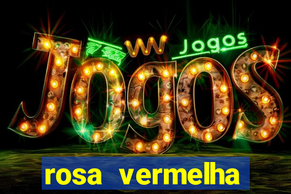 rosa vermelha (letra e cifra)