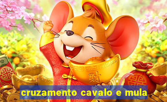 cruzamento cavalo e mula