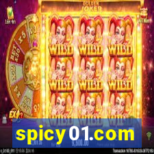 spicy01.com