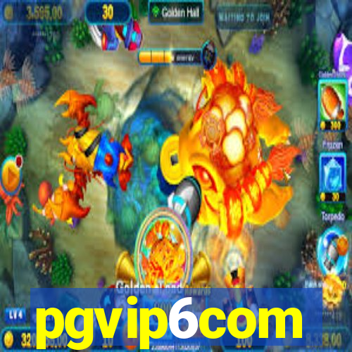 pgvip6com