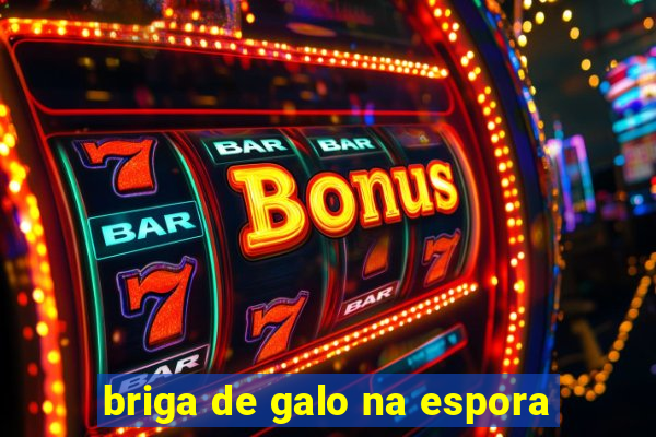 briga de galo na espora